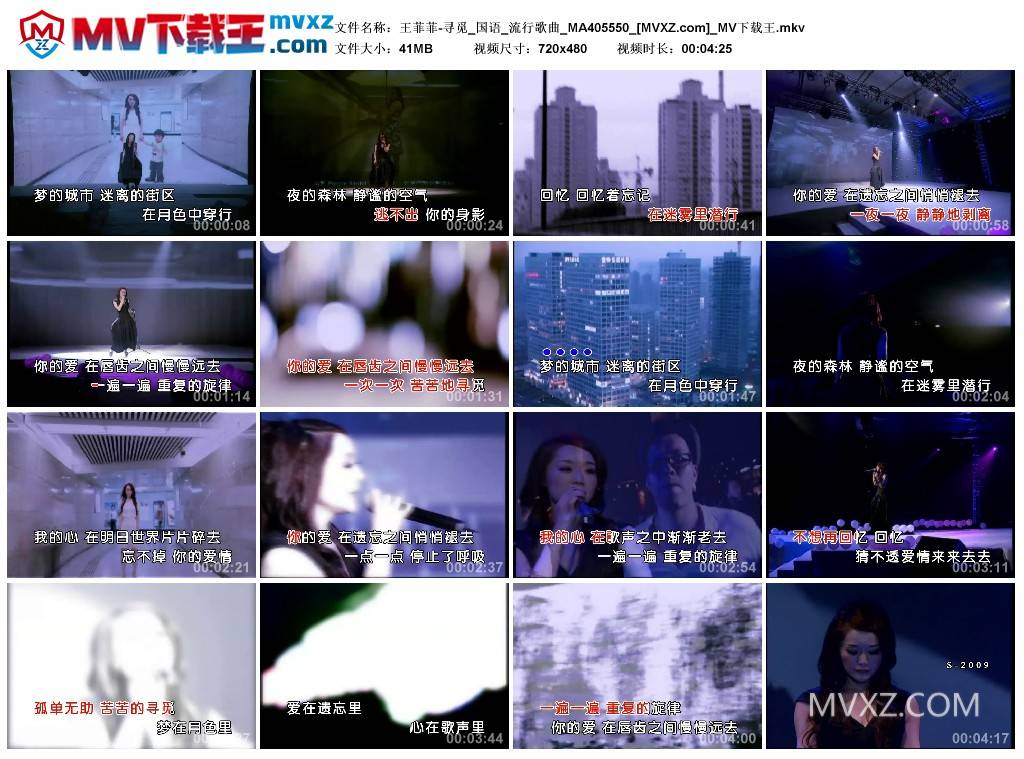 王菲菲-寻觅_国语_流行歌曲_MA405550